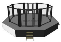 Ринг для соревнований   Top Ten MMA (7 x 7 m) "Sidewalk"с помостом (100 cm) 2 дверями
